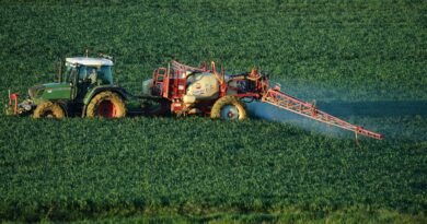 Stocks making the biggest moves midday: Marvell Technology, BlackRock, United Airlines, CF Stocks making the biggest moves midday: Marvell Technology, BlackRock, United Airlines, CF