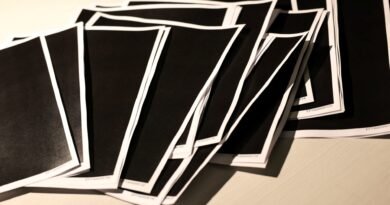 Epstein files: Senators seek probe of DOJ over release, redaction of sex offender’s