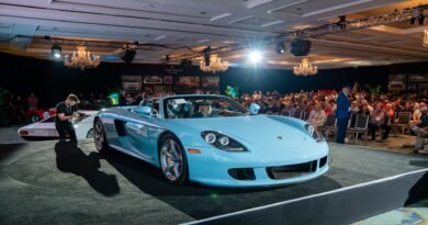 Art and classic car auctions top $600 million despite Iran war