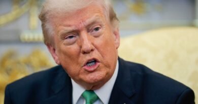 Trump slams NATO allies for not joining Iran war effort, says U.S. never needed their help