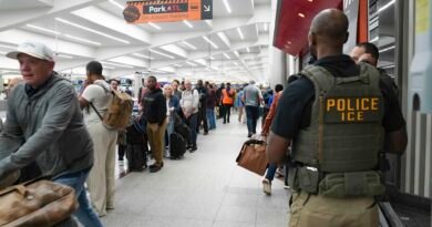 ICE deployed to some U.S. airports as long security lines persist during partial shutdown ICE deployed to some U.S. airports as long security lines persist during partial shutdown