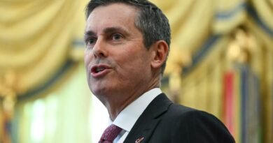 Eli Lilly opposes push to pass Trump’s drug pricing deals into law, CEO says