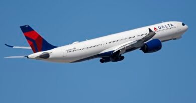 Delta CEO says airline will ‘meaningfully’ cut growth plans, sees $300 million boost from Delta CEO says airline will ‘meaningfully’ cut growth plans, sees $300 million boost from