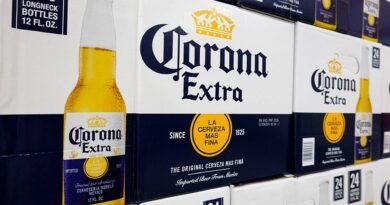 Stocks making the biggest moves premarket: Constellation Brands, Datadog, Occidental