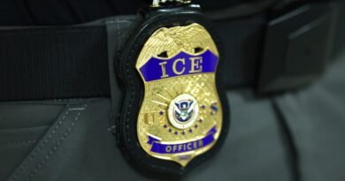 ICE agents shoot man in California after he ‘weaponized’ vehicle, DHS says