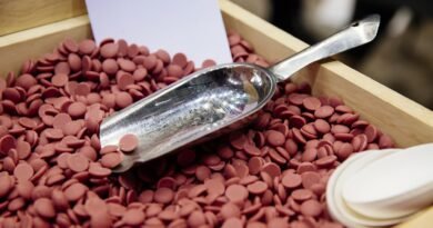 World’s biggest chocolate maker issues profit warning as cocoa prices collapse; shares