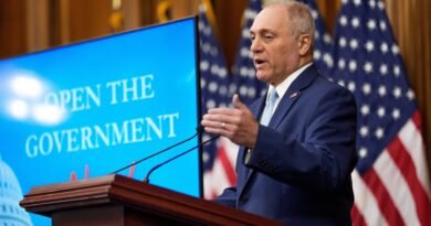 Republicans could still win the House in the 2026 midterm election: Scalise