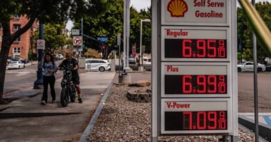 Consumer sentiment falls to fresh record low in May as surging gas prices hit outlook