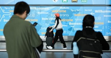 Airlines, hotels warn against Trump admin threat to international flights to ‘sanctuary