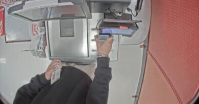 Inside the Chinese fraud rings stealing billions from banks and retailers