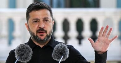 Zelenskyy ousts Ukraine’s army chief as protests expose wartime power struggle