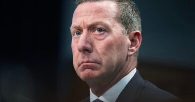 U.S. Secret Service official: ‘Threat environment is the highest we’ve ever seen’