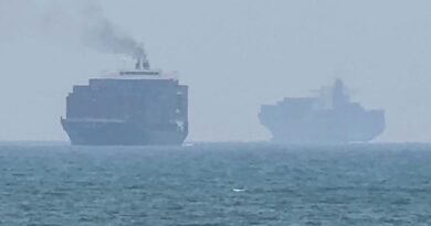 Iran, Oman say Strait of Hormuz talks in final stages, as Trump again teases a deal being