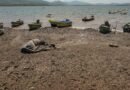 ‘Danger zone of extreme weather’: UN warns of supersized El Niño set to hit global economy