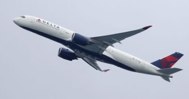 Delta delays debut of Saudi Arabia service until March after Riyadh airport attacks Delta delays debut of Saudi Arabia service until March after Riyadh airport attacks