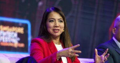 ‘Boring is not bad’: CEO of Southeast Asia’s largest bank pitches Singapore as a haven amid
