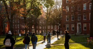 Harvard’s endowment jumps 27% in fiscal 2026, lifted by SpaceX as top holding