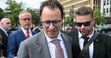 AI’s coming roadblock in regulation: Antitrust hawks