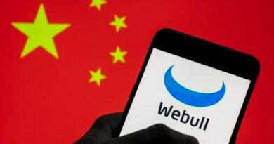 Trading platform Webull’s China ties create national security risk, congressional panel