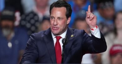 Musk’s PAC lawyer runs in Texas House district that is home to billionaire’s business